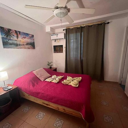 Hotel Tierra Verde Bed And Breakfast Bocas Town Ngoại thất bức ảnh