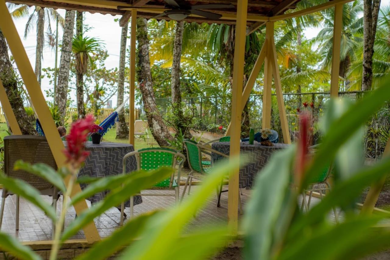 Hotel Tierra Verde Bed And Breakfast Bocas Town Ngoại thất bức ảnh