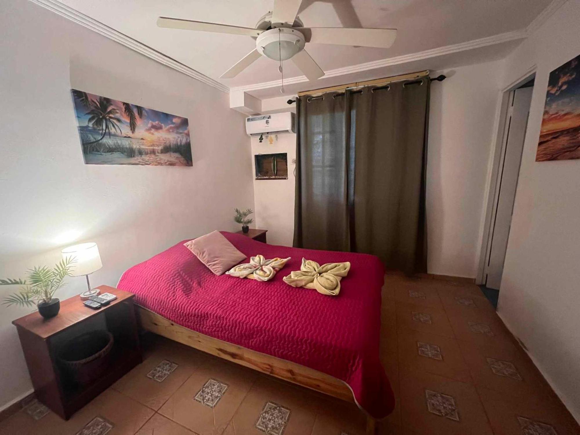 Hotel Tierra Verde Bed And Breakfast Bocas Town Ngoại thất bức ảnh