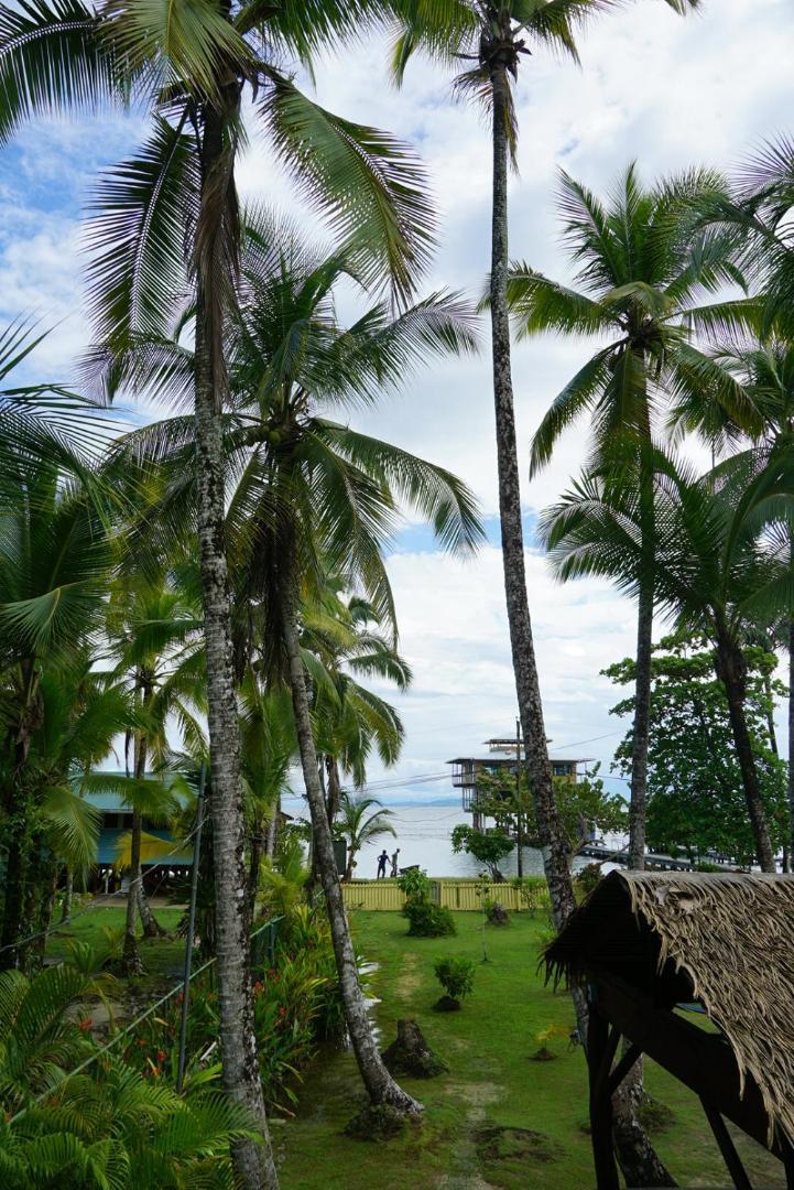 Hotel Tierra Verde Bed And Breakfast Bocas Town Ngoại thất bức ảnh
