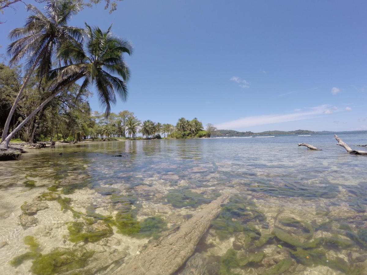 Hotel Tierra Verde Bed And Breakfast Bocas Town Ngoại thất bức ảnh